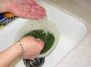 tabuleh 7.jpg tabuleh 7.jpg